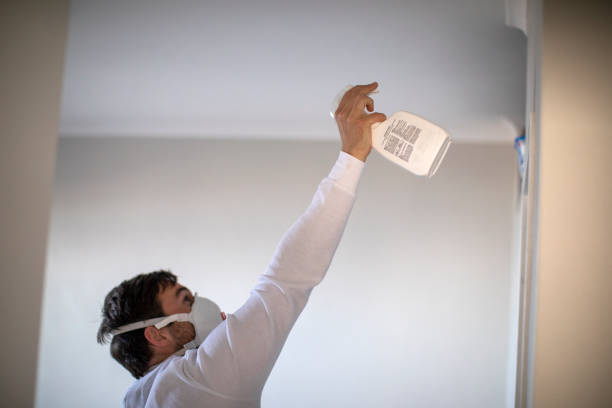 Best Post-Flood Mold Remediation in Denmark, SC